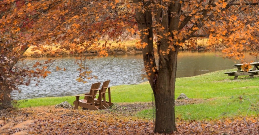 Beautiful Shenandoah Valley Fall foliage, enjoyed from the adirondack chairs at our Shenandoah Valley Cabins in Virginia