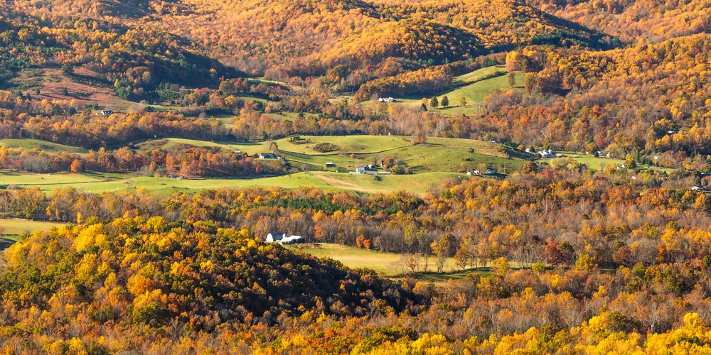 Gorgeous Shenandoah Valley Fall Foliage seen from Skyline Drive in Shenandoah National Park