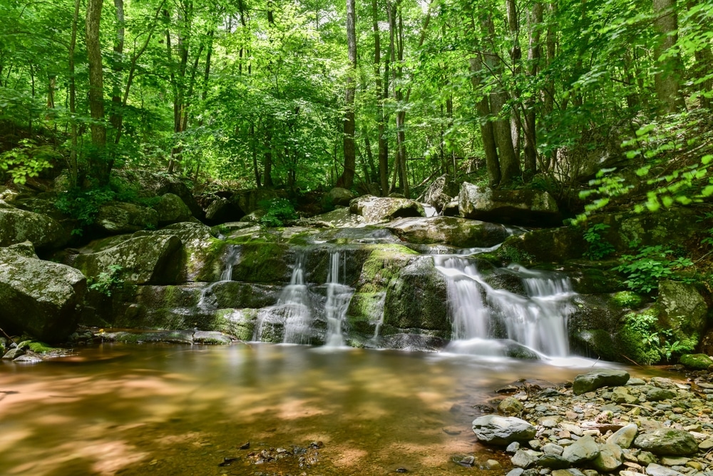 Hiking to nearby waterfalls is one of the best things to do in the Shenandoah Valley this summer
