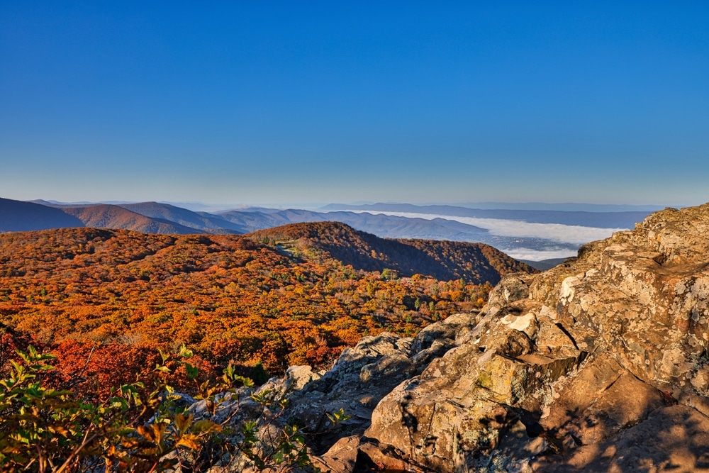 Gorgeous view of fall colors in the Shenandoah valley, near our romantic cabins in Virginia